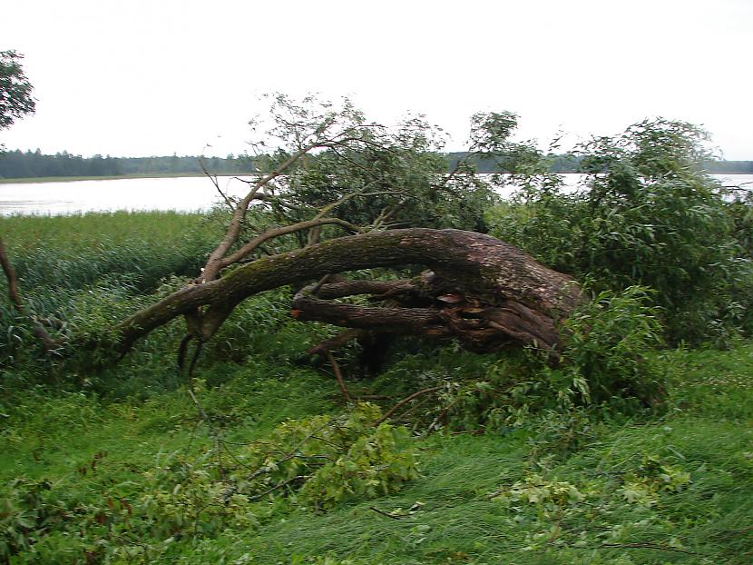  Autors: PankyBoy 2008.gada  vētras sekas