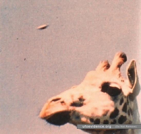  Autors: posts UFO Photographs 1910-2008