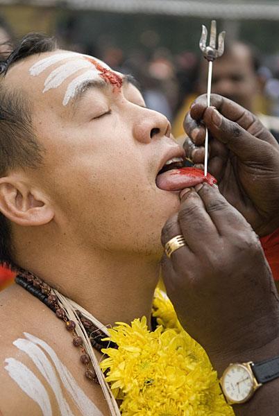 Thaipusamīpatnējs Hindu... Autors: UglyPrince Festivāli Pasaulē