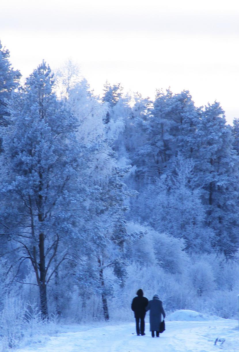 Foto by persona Autors: Persona Aukstā, baltā ziema...