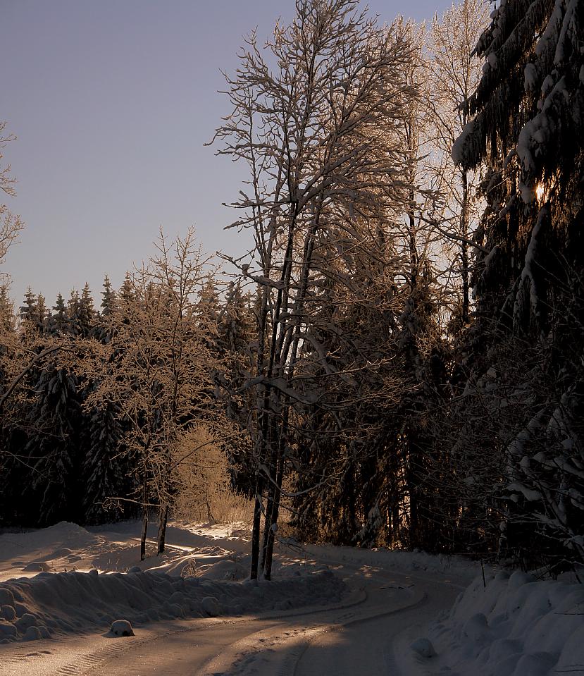 Foto by persona Autors: Persona Aukstā, baltā ziema...