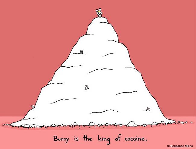 Bunny is the king of cocaine... Autors: awoken Chronically sick, but still thinking VII