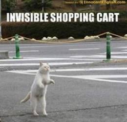  Autors: Edgarinshs Kaķu neredzamās spēļmantiņas
