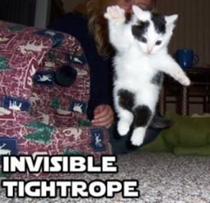  Autors: Edgarinshs Kaķu neredzamās spēļmantiņas