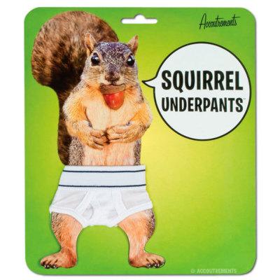 Squirrel UnderpantsVai tev arī... Autors: Moonwalker Dīvainākās Ebay nopērkamās lietas