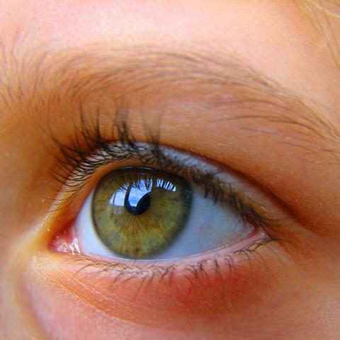 Cilvēka acs ir spējīga atšķirt... Autors: Finčš Interesanti fakti par cilvēku