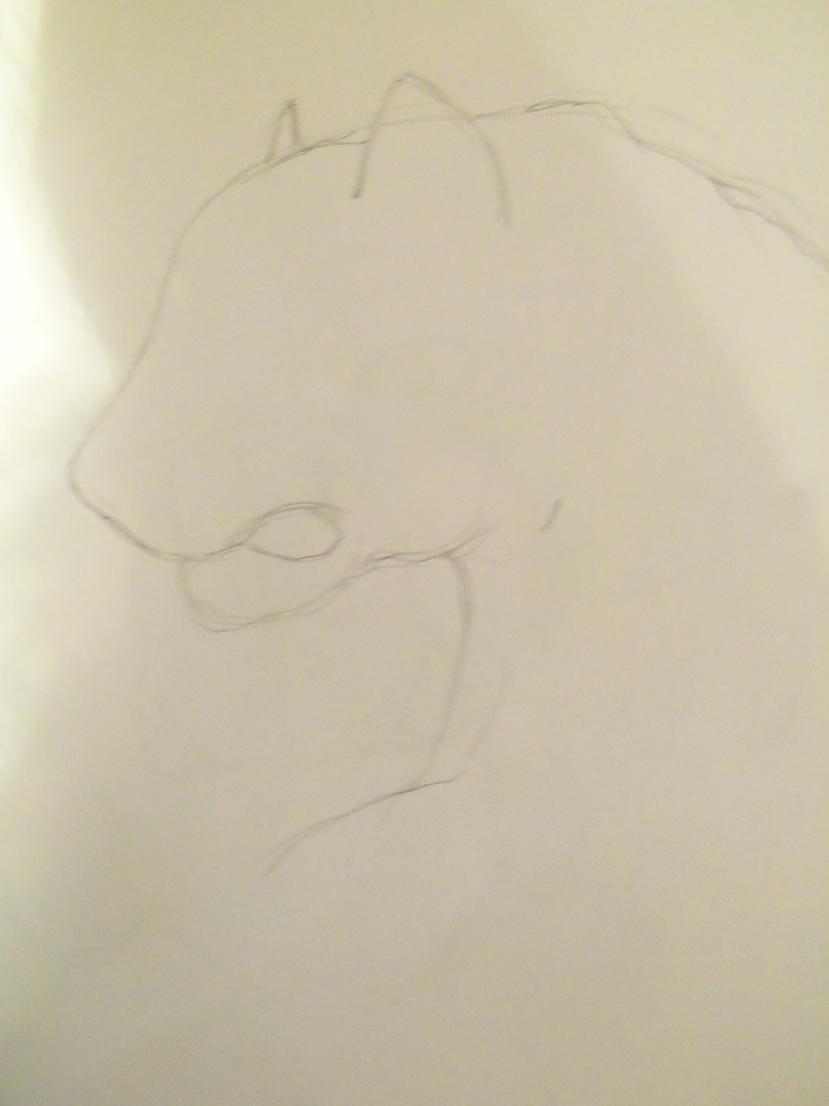 Tātad vispirms ar 2B zīmuli... Autors: Hamsters1 Kā uzzīmēt leopardu.