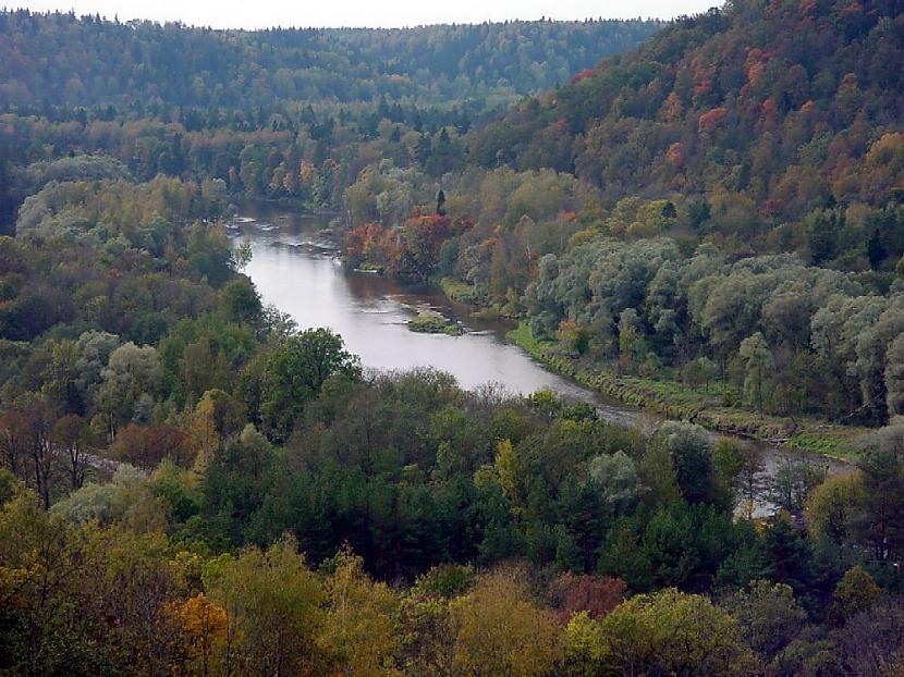  Autors: Fosilija Latvijas Daba