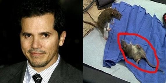 John Leguizamo  Rat 2 Doctor... Autors: ShakeYourBody Multeņu varoņu ierunātāji