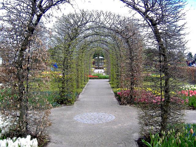  Autors: Fosilija Krāšņie pavasara ziedi Keukenhof  parkā.