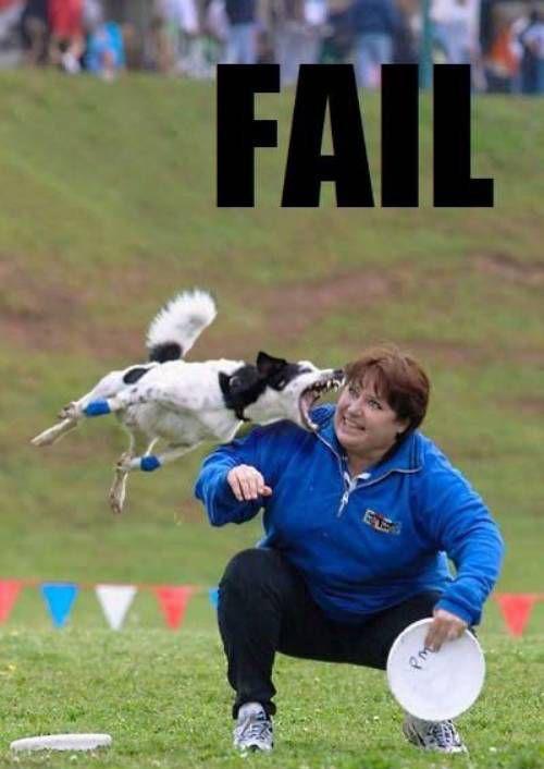  Autors: robis99 Dog fail