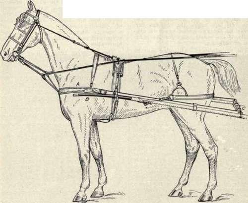Protams arkls nebija vienīgā... Autors: Kobis Viduslaiku tehnoloģijas