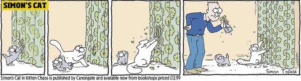  Autors: Benders03 simon's cat in kitten chaos