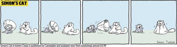  Autors: Benders03 simon's cat in kitten chaos