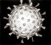 WormWin32DorkbotAVīruss pārņem... Autors: Fosilija Vīrusi