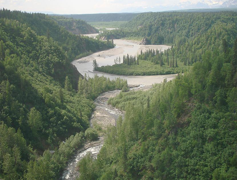 Katru gadu Aļaskā notiek... Autors: lango1 Fakti un fakti 6