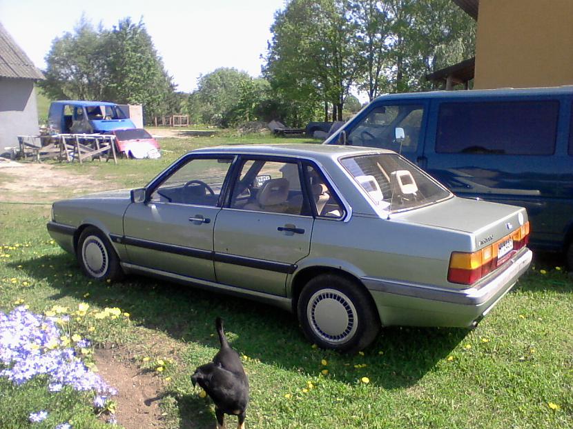 Autors: buls1995 audi 90 projekts 1 dala