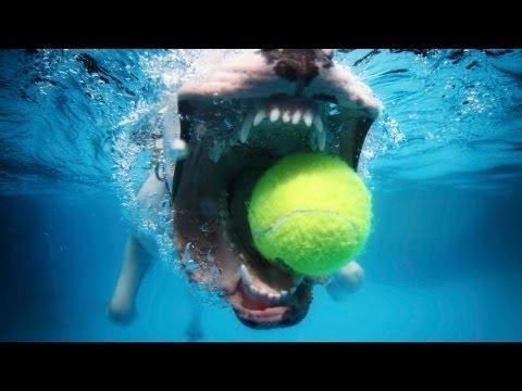  Autors: HORNY JUŅIKORNS Underwater dogs