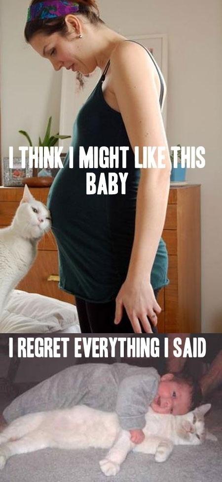  Autors: dīvainis10 Funny pictures.