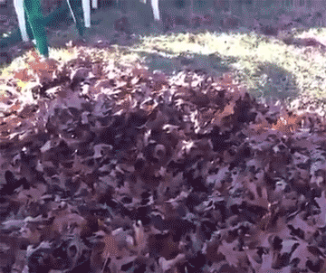 Kad pēc garas darba dienas es... Autors: laama Kā es jūtos kad... GIF'os. [6]
