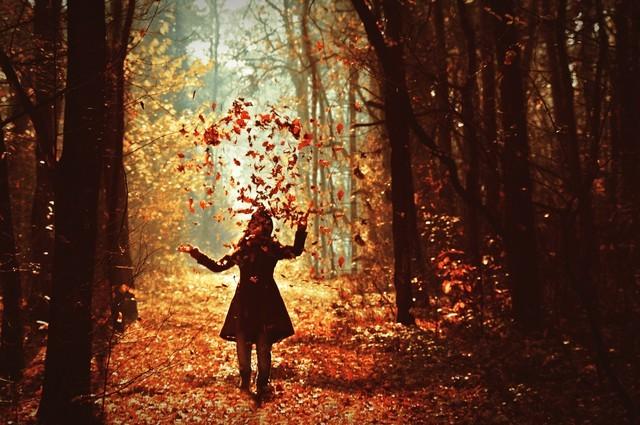  Autors: spoceneic Autumn