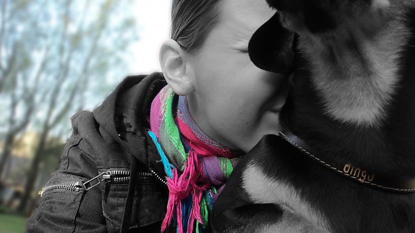  Autors: Alishoks16 Manas bildes ♥ /Otrā daļa/