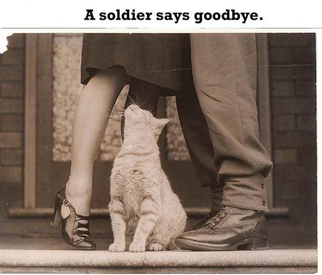  Autors: 69 The Most Romantic Photos Of All Time