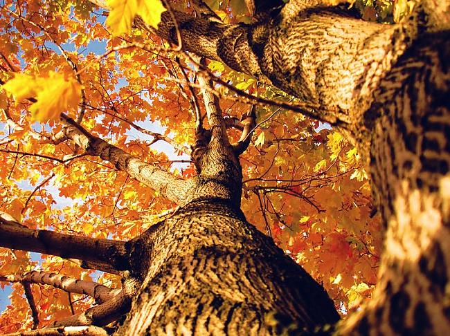  Autors: heartless Autumn.