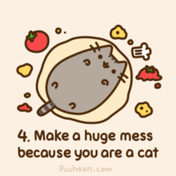  Autors: wolfsdream pusheen cat