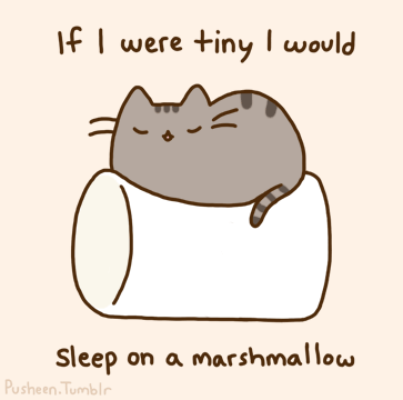 what would you do Autors: wolfsdream pusheen cat