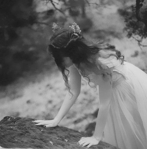  Autors: HopelessRomantic Wonderland