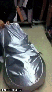  Autors: BatkaFaQ Just some cool and funny Gifs [1]