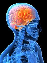 nbspSmadzenes satur nbsp7778... Autors: Akumulators Some shit about brain.