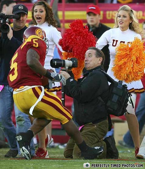  Autors: Edgarinshs perfectly timed photos