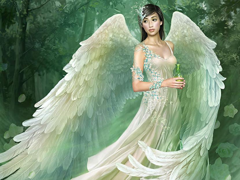  Autors: bubina696 spārnotie eņģeļi......