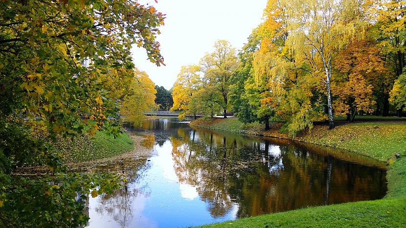  Autors: Ragnars Lodbroks Zelta rudens in LV