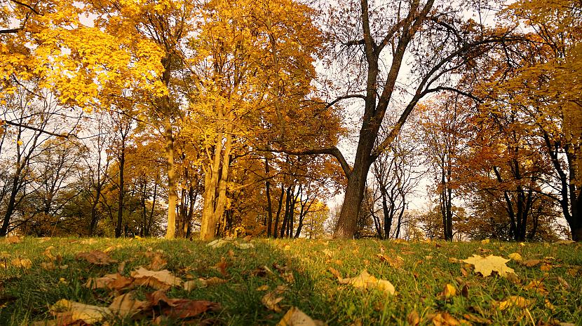  Autors: Ragnars Lodbroks Zelta rudens in LV