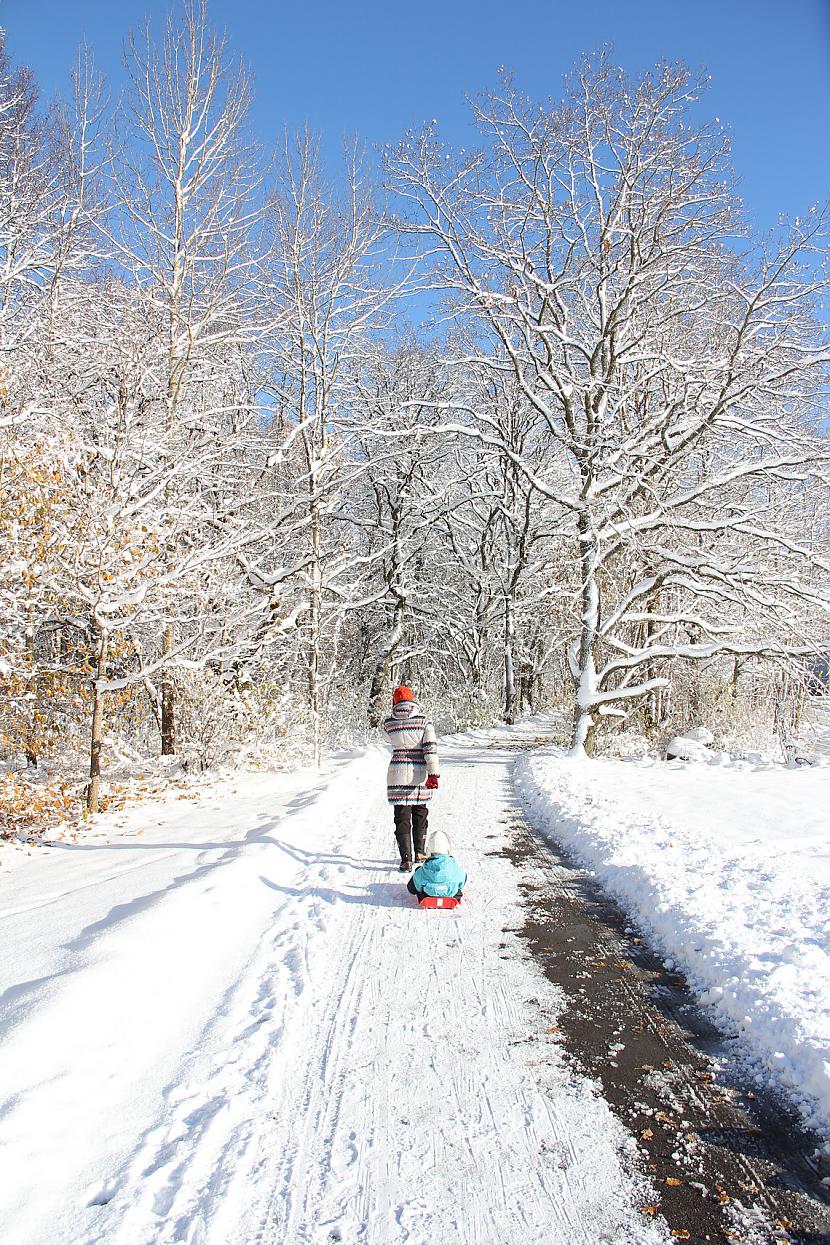 Autors: MarkoPollo Pirmais sniegs Igaunijā.