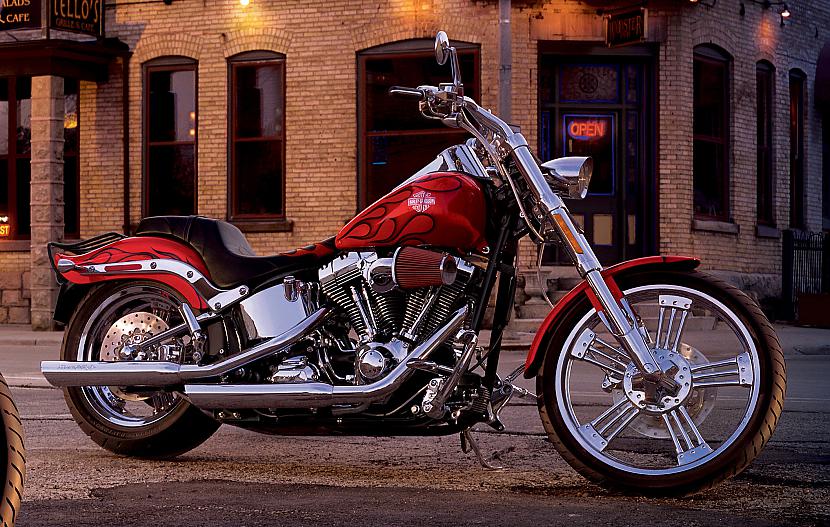 Softail Custom Autors: Fosilija Harley - Davidson, 2010