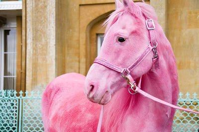 Mamuttaurē ir rozā zirgi Autors: ElisaMelisa Pie jūras...