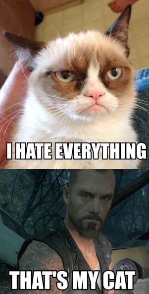  Autors: TheOne Grumpy cat