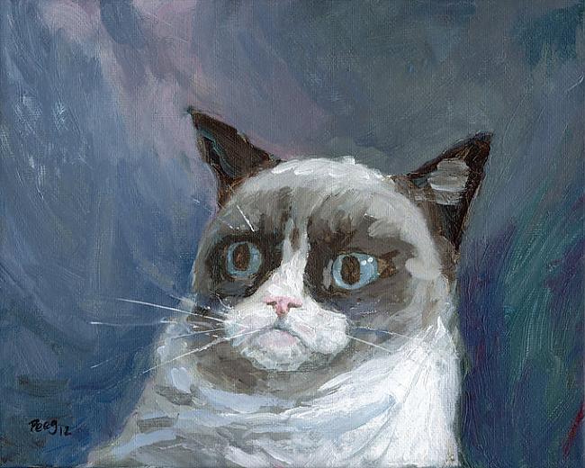  Autors: TheOne Grumpy cat