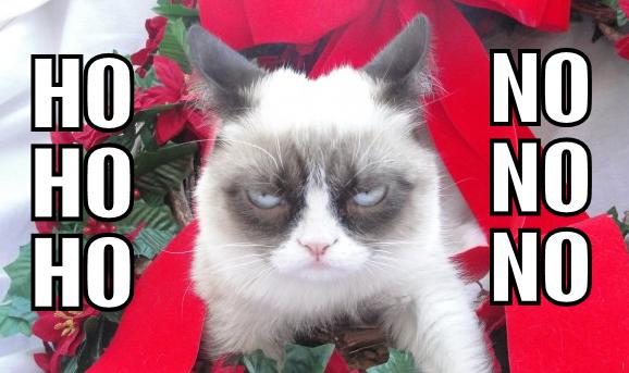  Autors: TheOne Grumpy cat