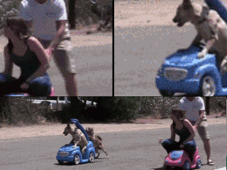  Autors: lenusse12 Funnyjunk gifi
