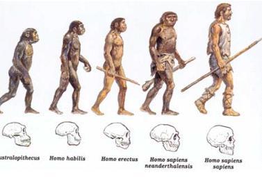 Evolūcija Autors: Vampirology Cilvēces šūpulis - Olduvaja
