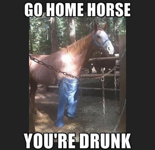  Autors: violin21@tapiri Go home, you`re drunk!