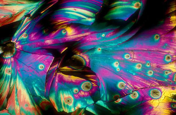 Pina Colada Autors: Fosilija Alkoholiskie kokteiļi zem mikroskopa