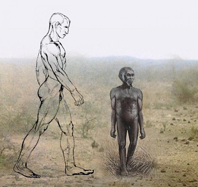 Homo floresiensis bija cilvēku... Autors: Moonwalker 20 šokējoši fakti