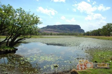 Kakadu nacionālais... Autors: Kaprālis Austrālija