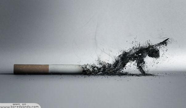 Dūmi Autors: Fosilija Labākās pretsmēķēšanas reklāmas